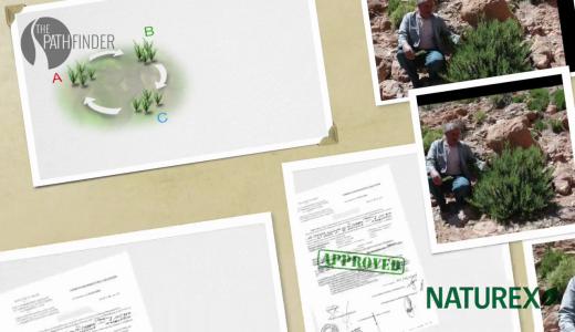 Animations graphiques